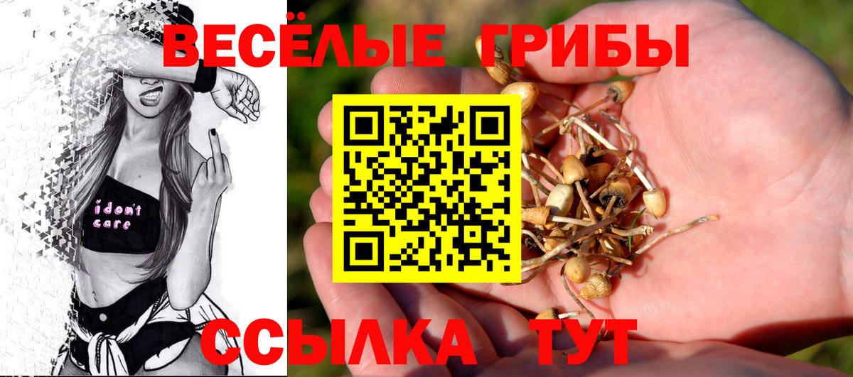 Псилоцибиновые грибы мухоморы  Вход с VPN  Галлюциногенные грибы мухоморы  Славгород 